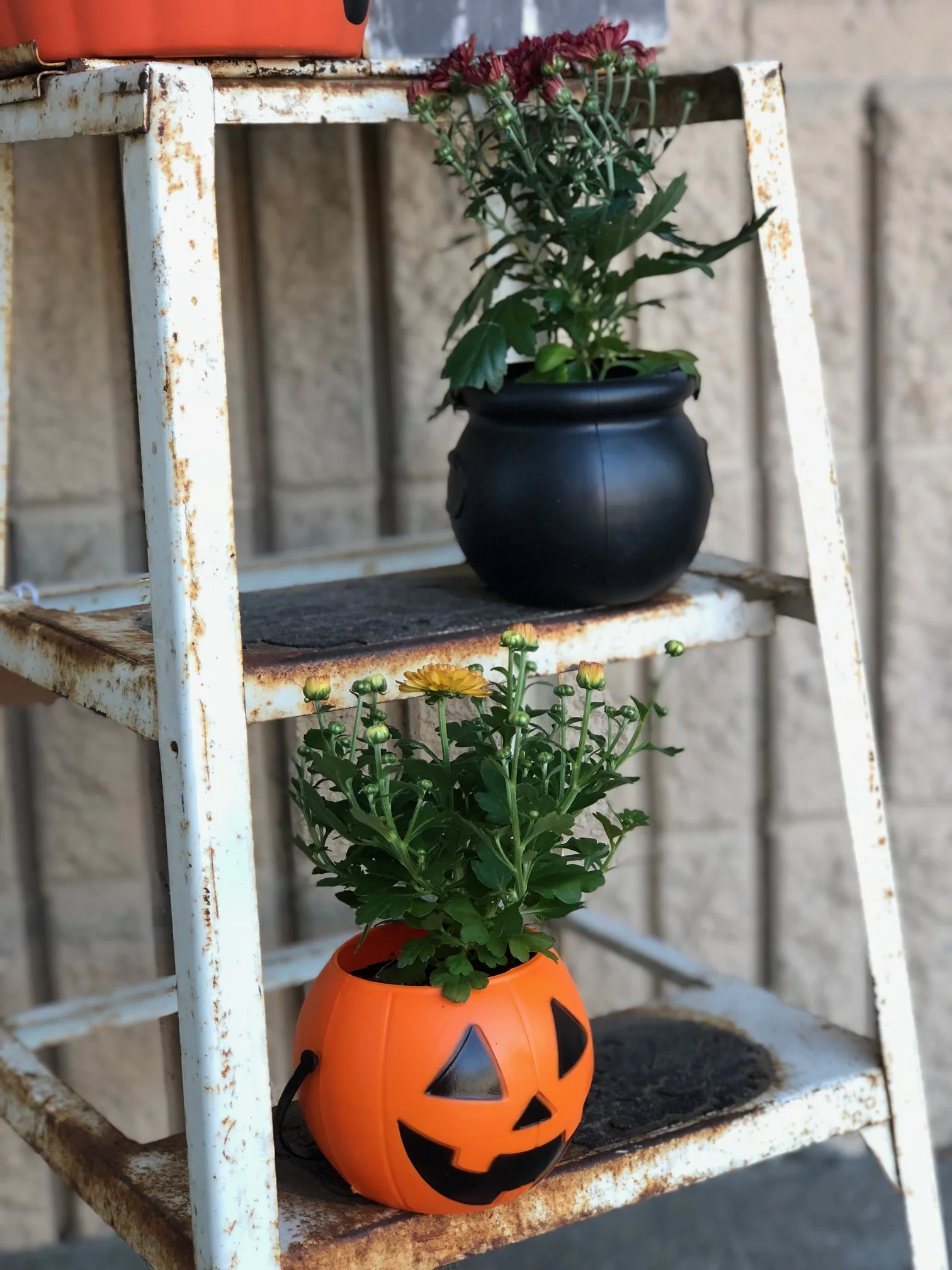 Easy and adorable mini mum planters for less than $2, get the look with this tutorial