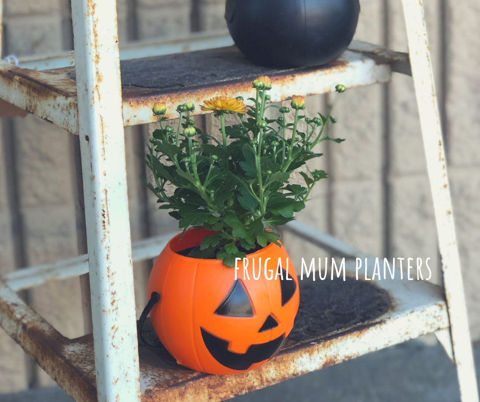 Easy and adorable mini mum planters for less than $2, get the look with this tutorial