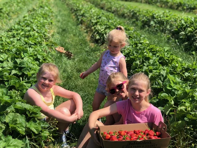 Fresh strawberry shortcake recipe, Megan plus FIVE