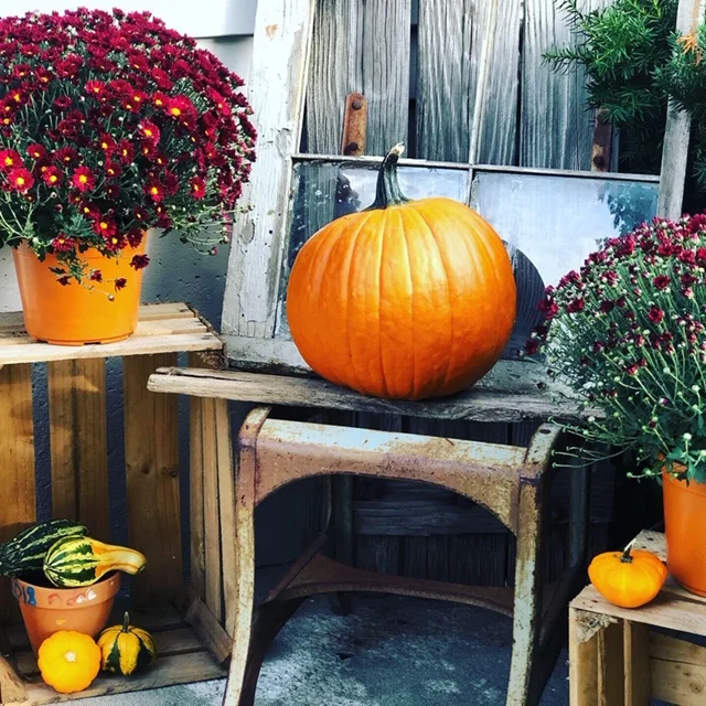 Decorating your porch for FALL on a BUDGET