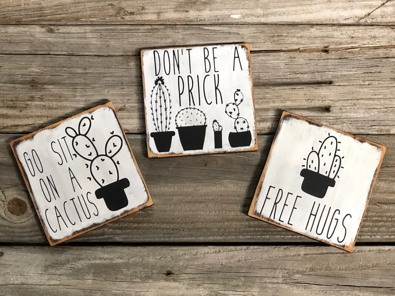 DIY painted wood funny cactus signs