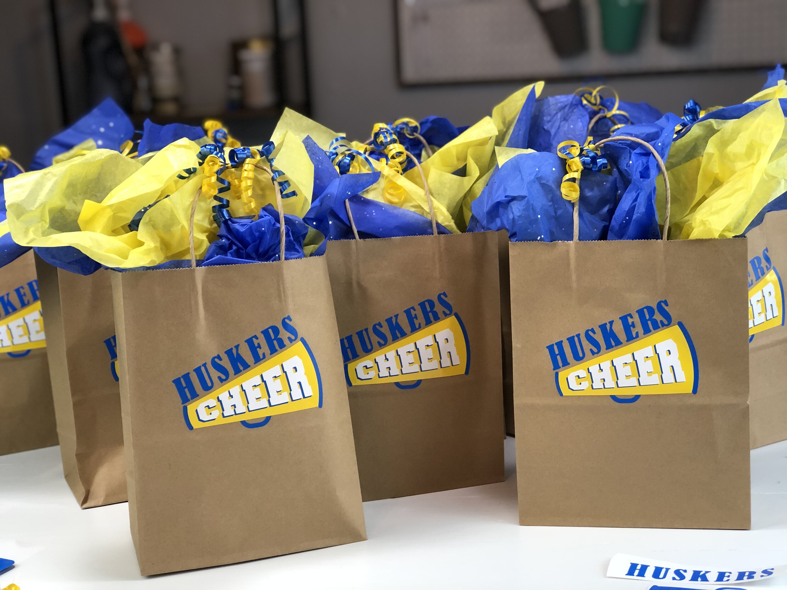 Cheerleader gift bags that are quick, easy, and inexpensive. Put together cute pampered gift bags for cheer appreciation gifts for the end of the season. Use your Cricut to make personalized vinyl decals.
