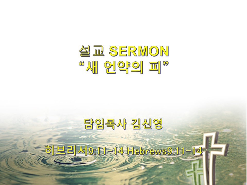2024-11-03 성령강림 후 제24 주일예배 24th Sunday After Pentecost