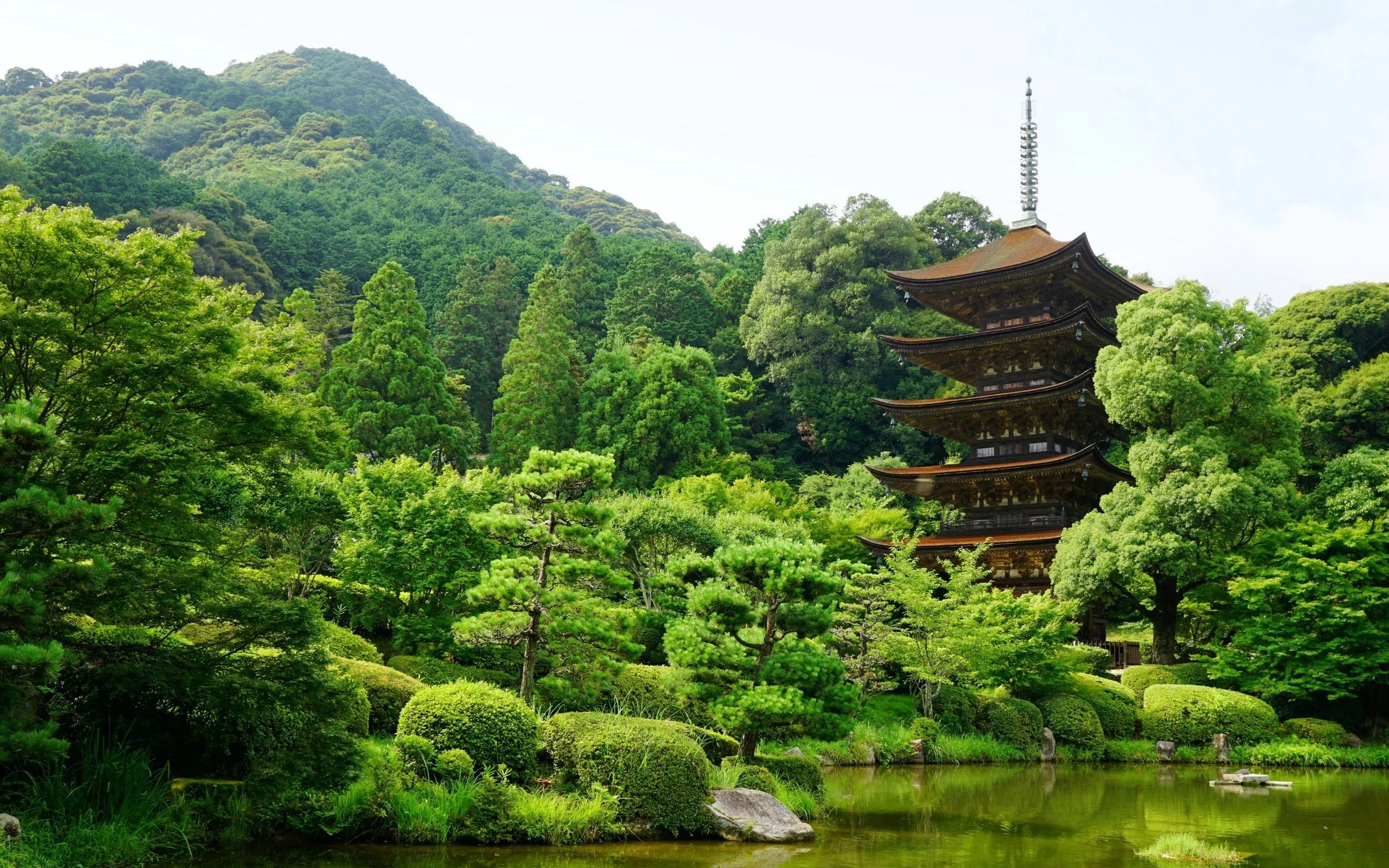 Forest Temple.jpg