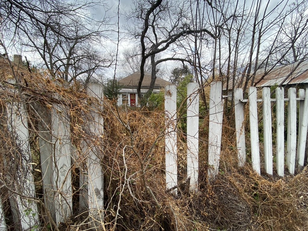 Hyde Park Alley Walk March 5 2022 - 002 .jpeg