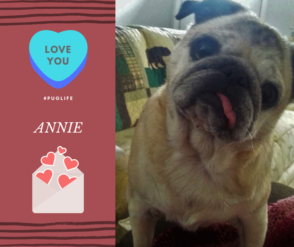 ANNIE - Copy (3).png