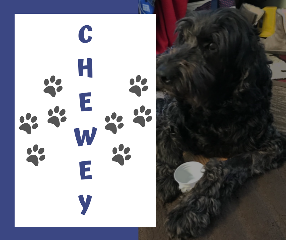 C H E W E Y.png