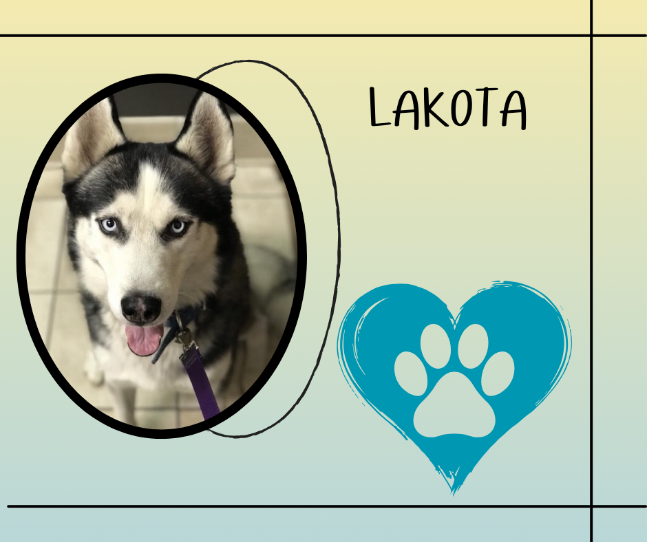 Favorite item in tHis week.png