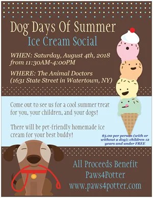 Ice Cream Social 2018.jpg