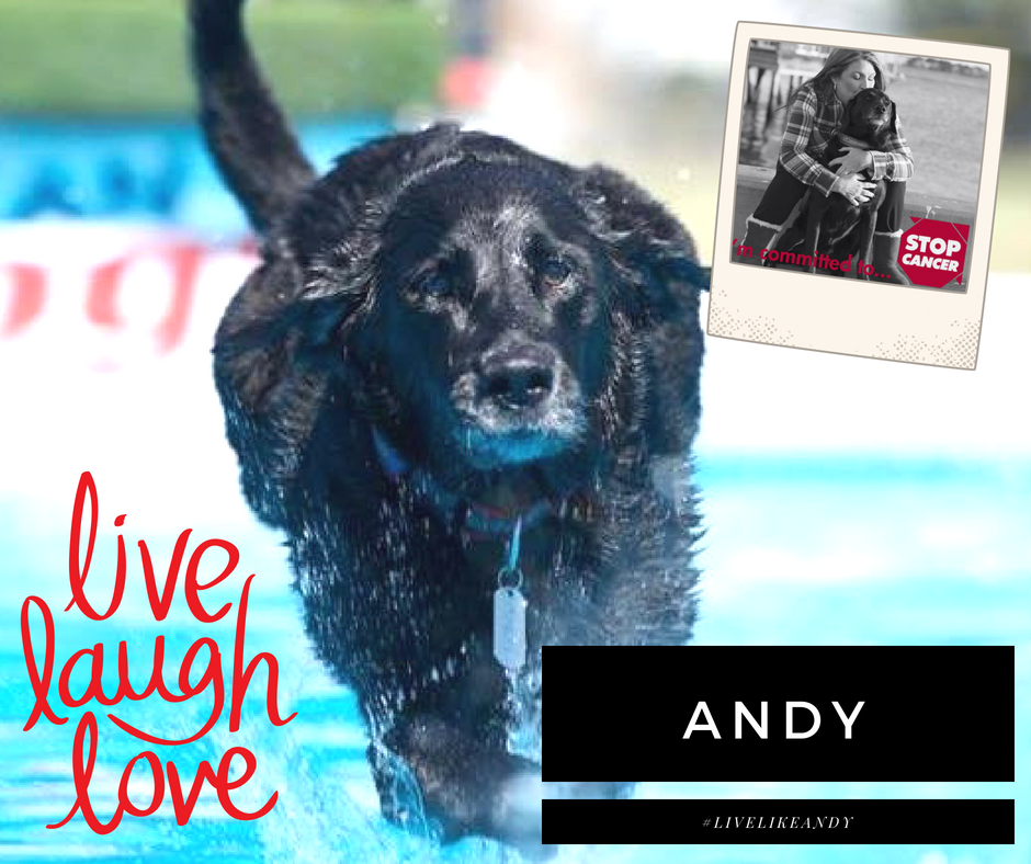 Andy Lecture.png