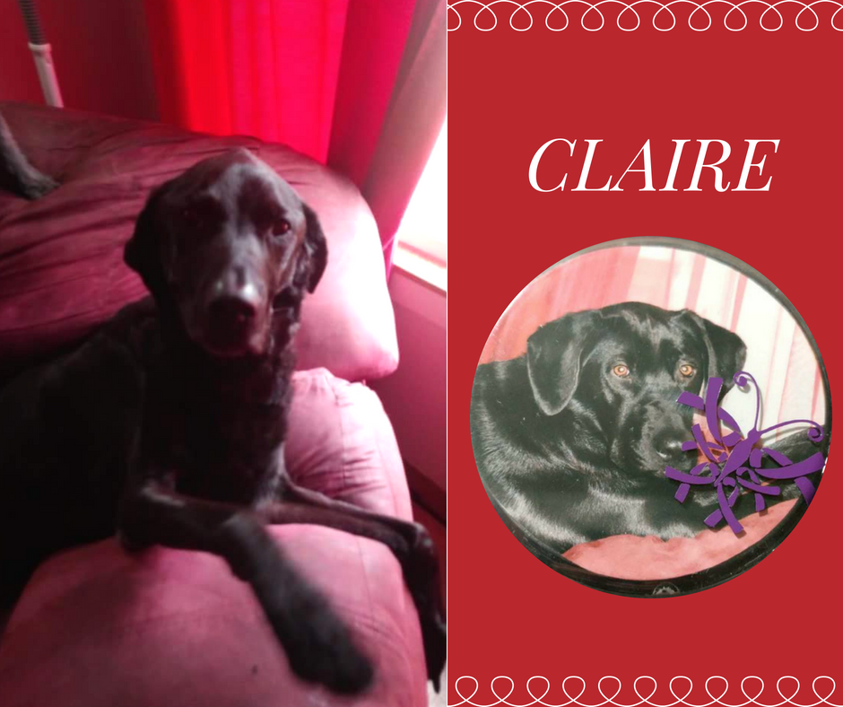 Claire Lecture.png