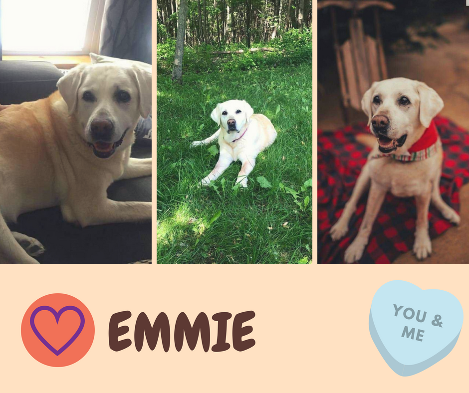 Emmie Lecture.png