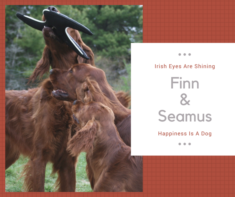 Finn and Seamus Lecture.png