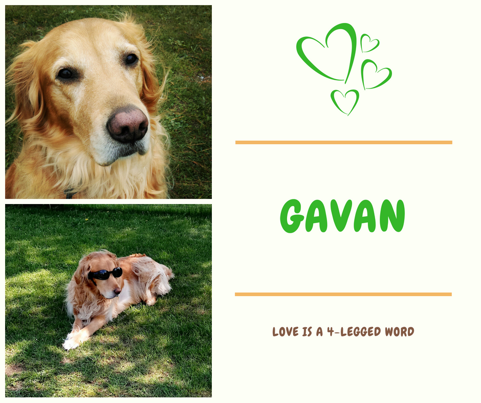 Gavan Lecture - Copy.png