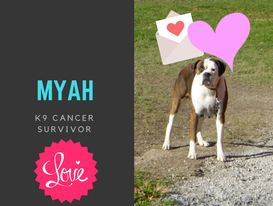 MYAH Lecture.png