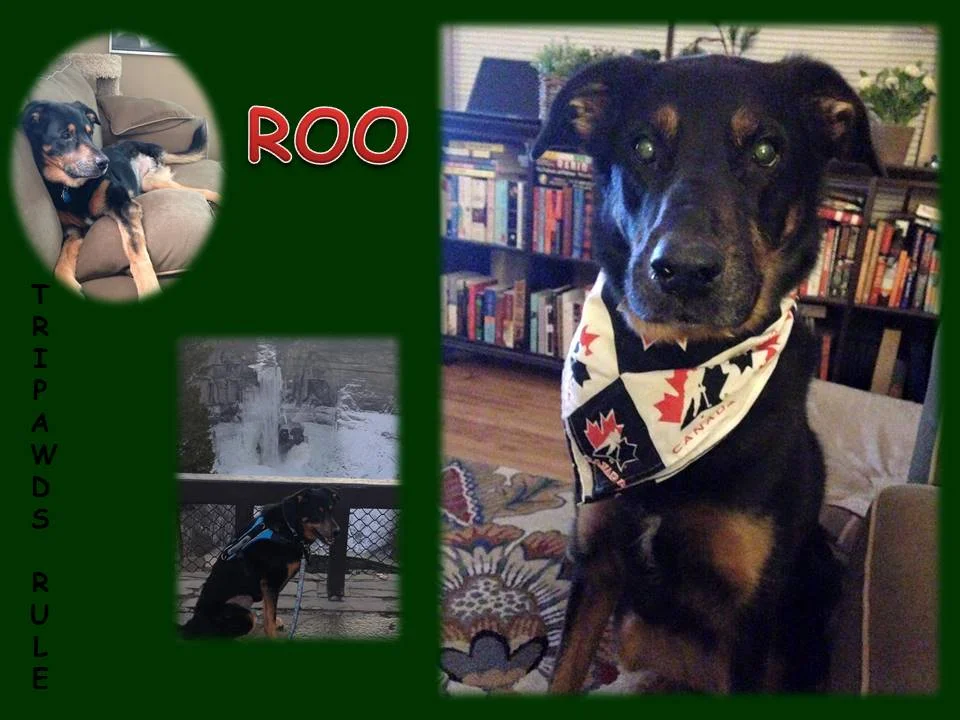Roo Lecture.jpg