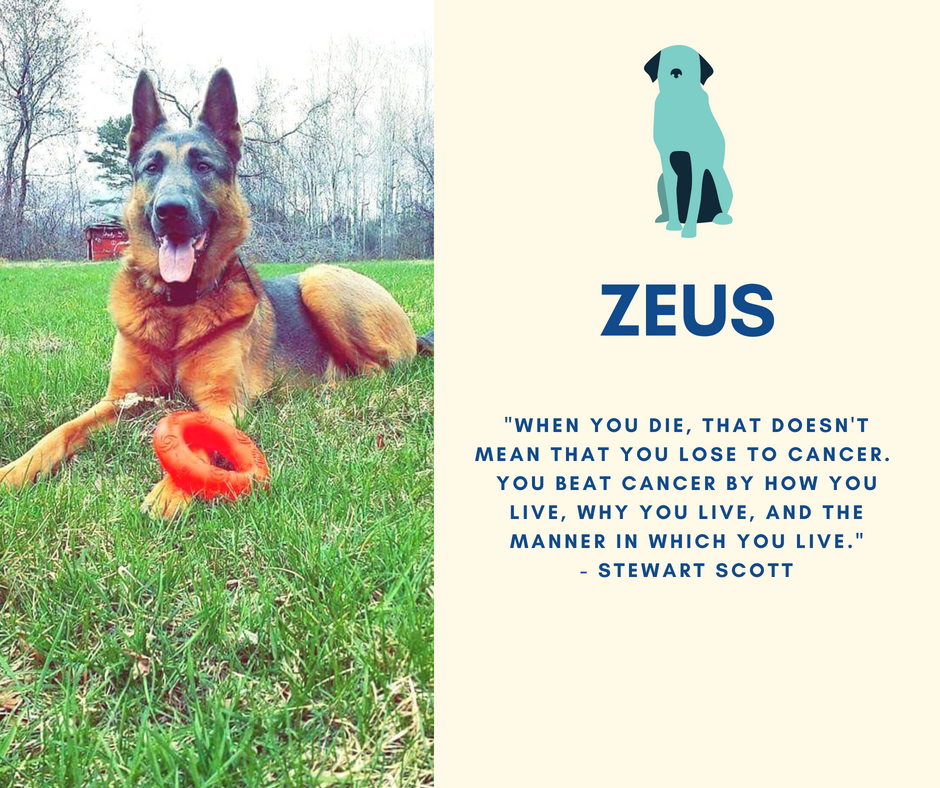 Zeus Lecture.png