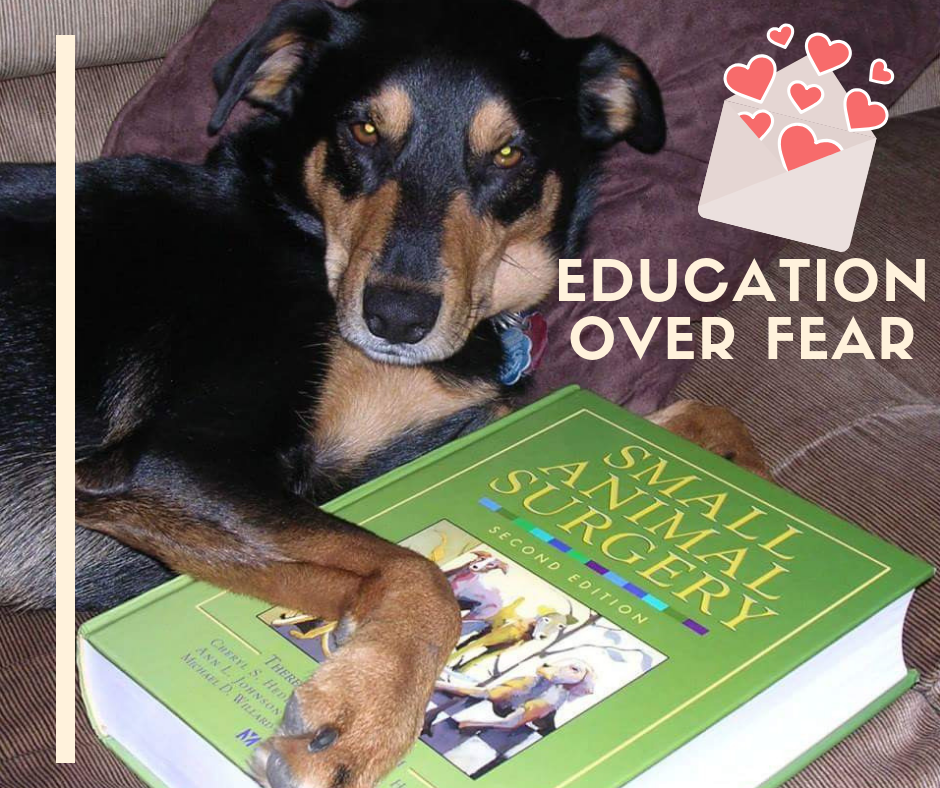education over fear.png