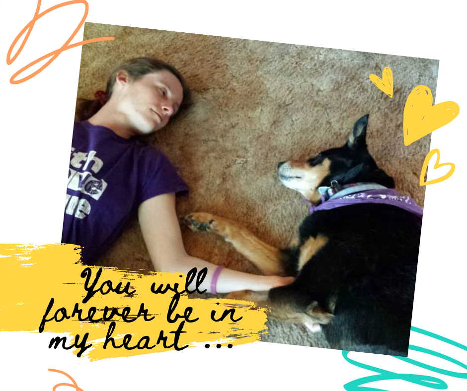 Euthanasia Doesn't Have To Be A Bad Word