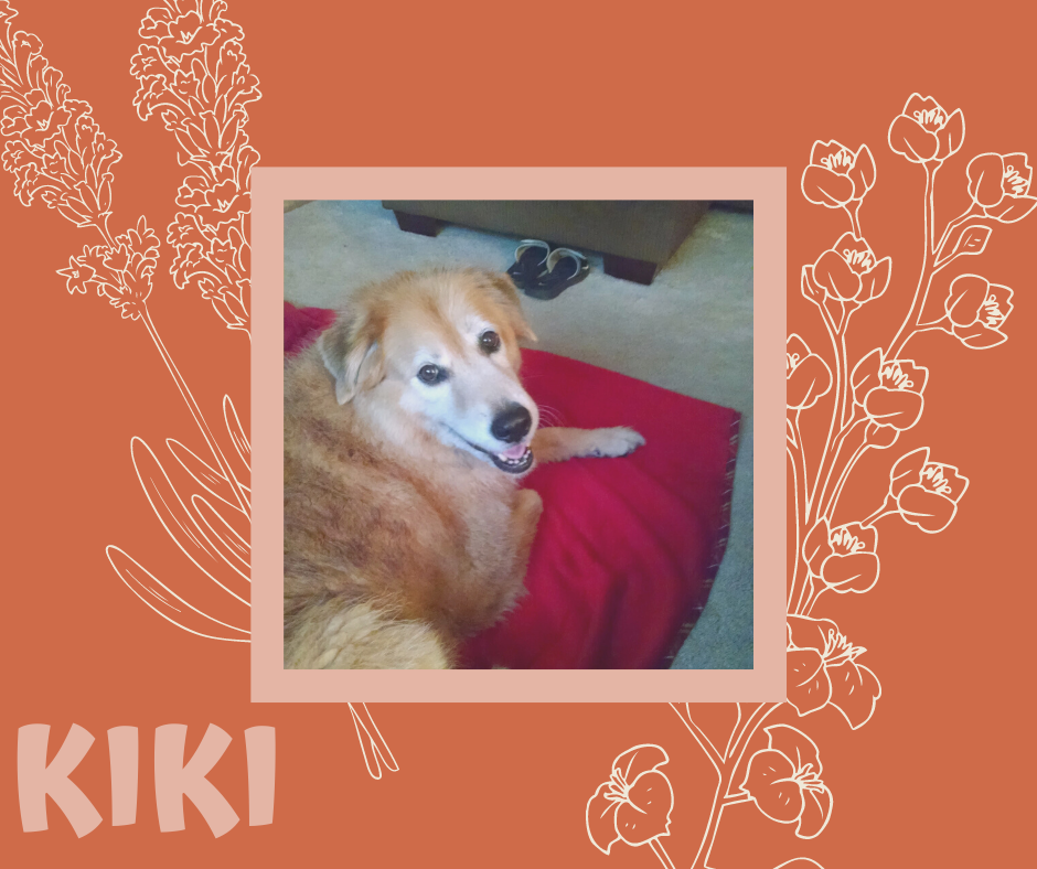 KIKI.png