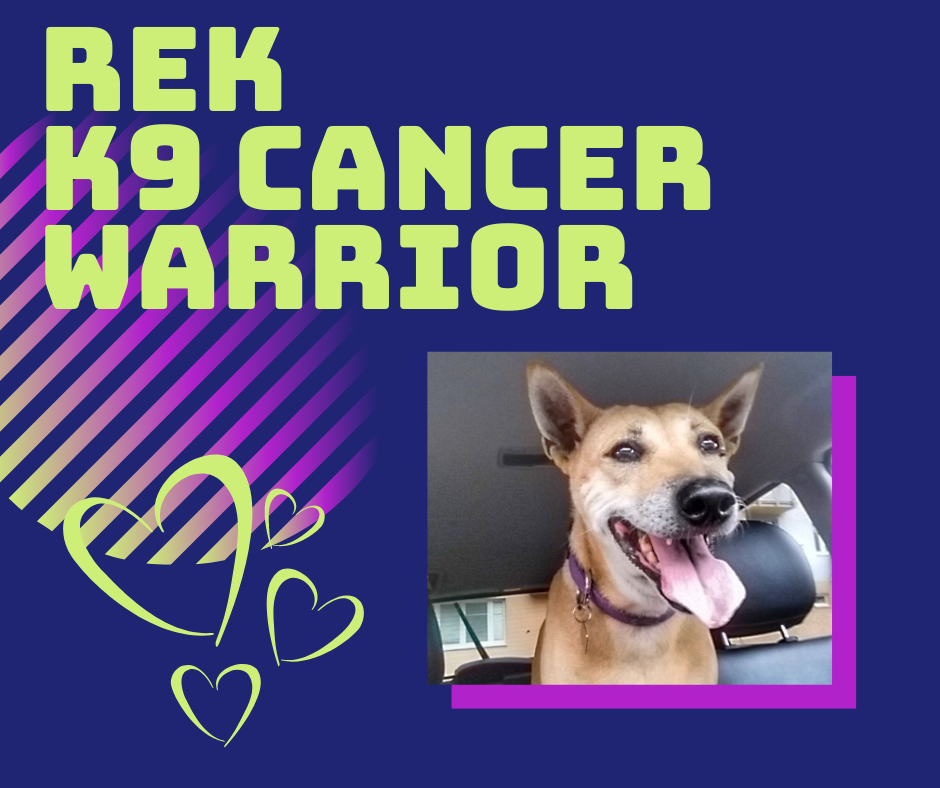 REK k9 Cancer Warrior.png