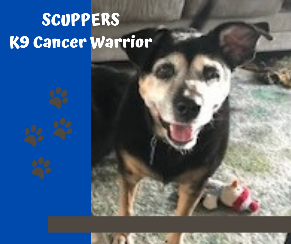 SCUPPERS K9 Cancer Warrior.png