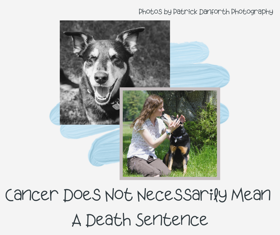 Cancer Does Not Necessarily Mean A Death Sentence