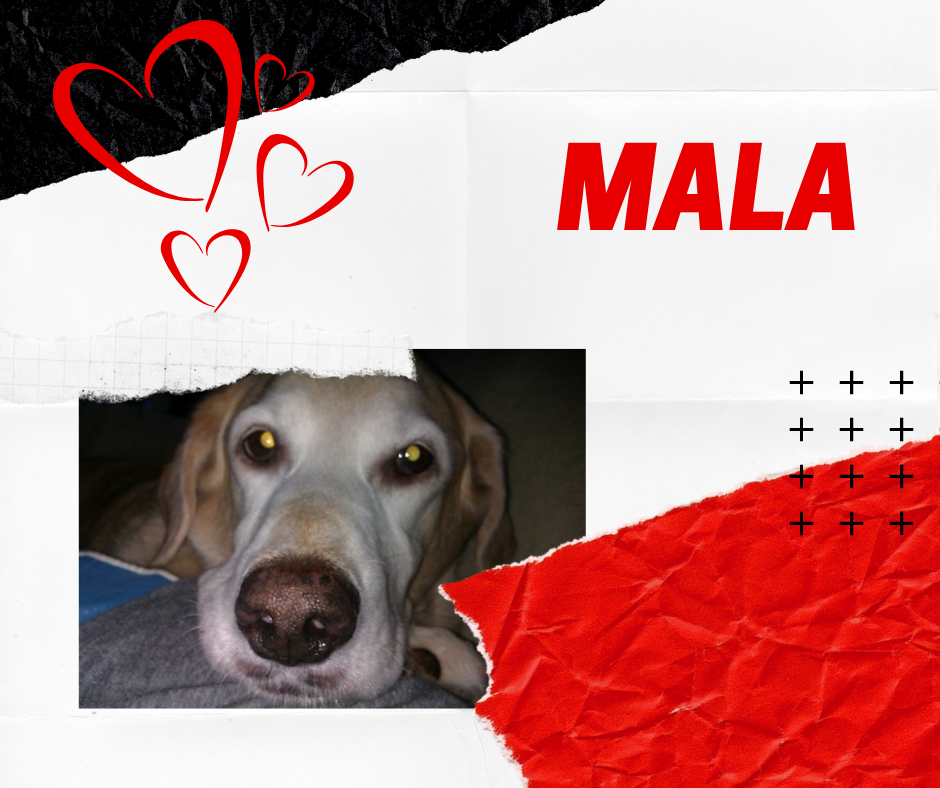 MALA.png