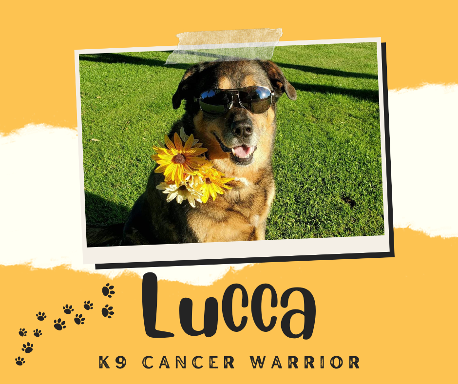 Lucca - In Honor.png