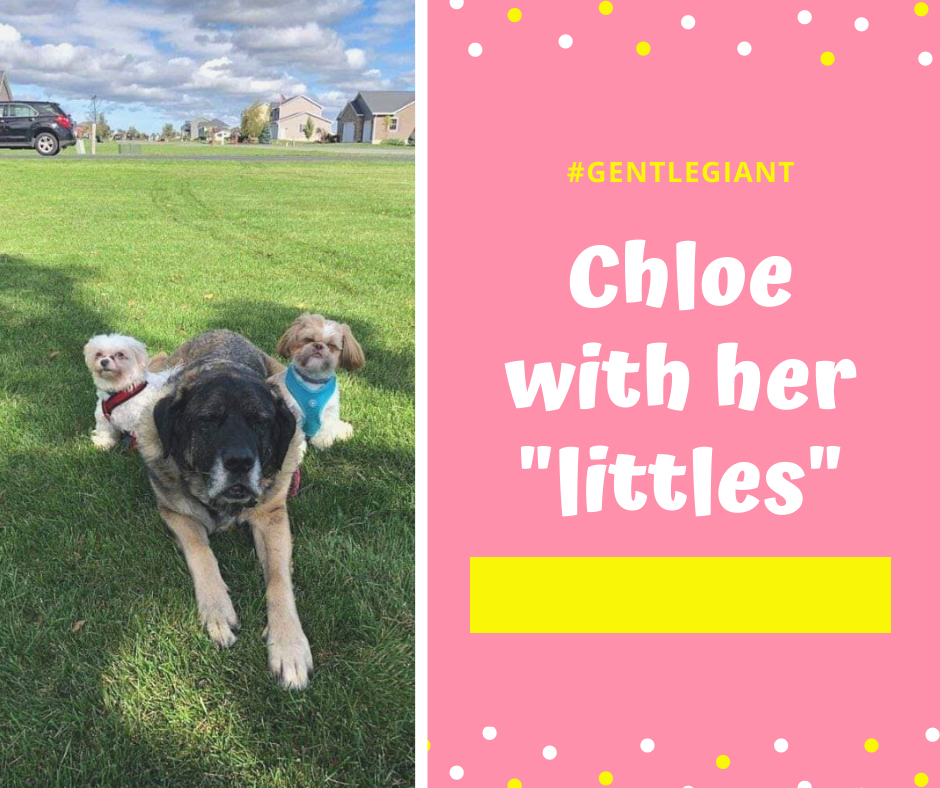 Chloe (with her _littles_).png