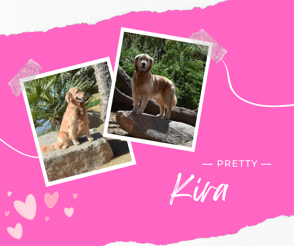 Kira.png