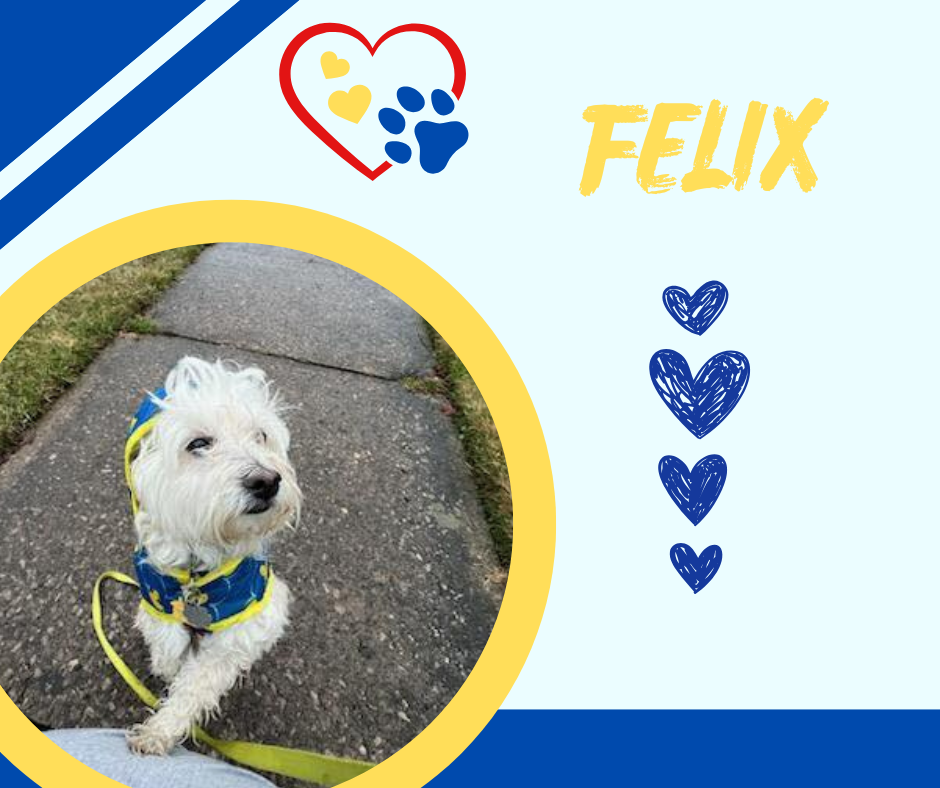Felix.png