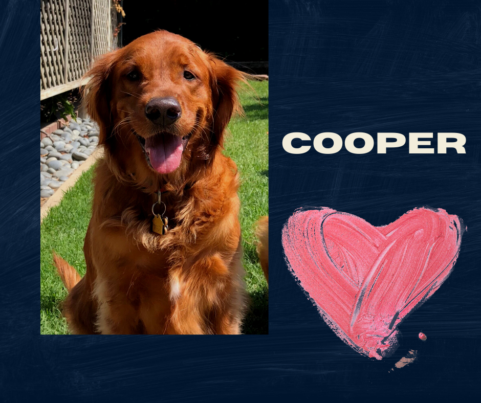 COOPER.png