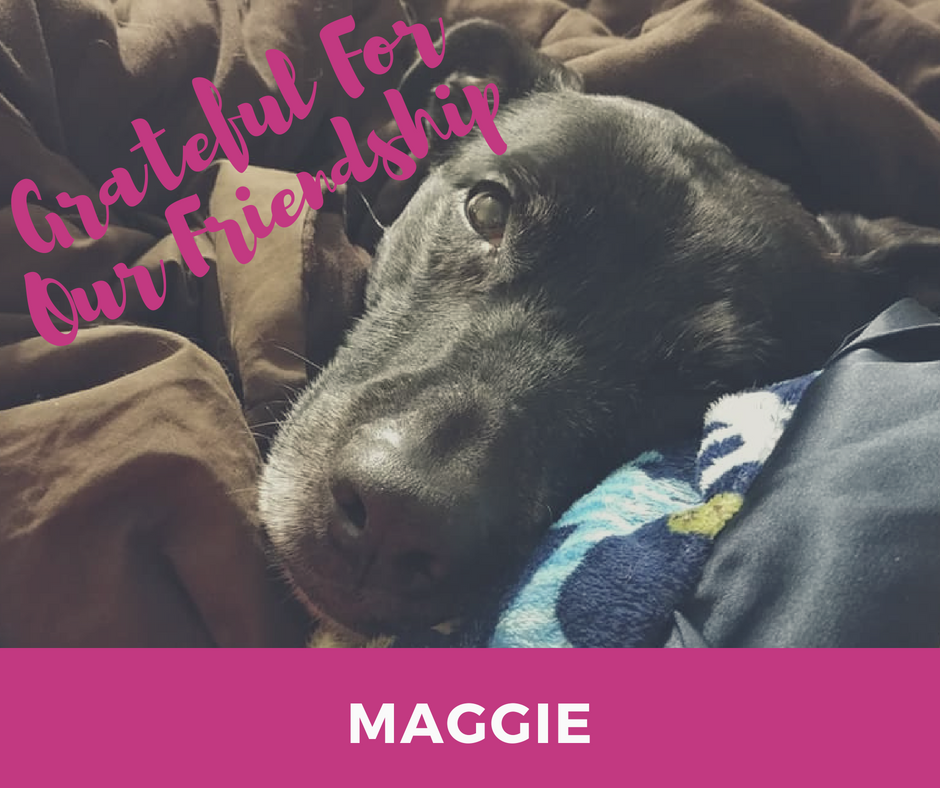 Maggie 2 Lecture.png