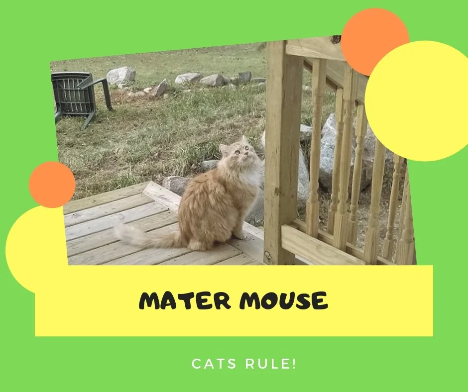 mater mouse1.jpg