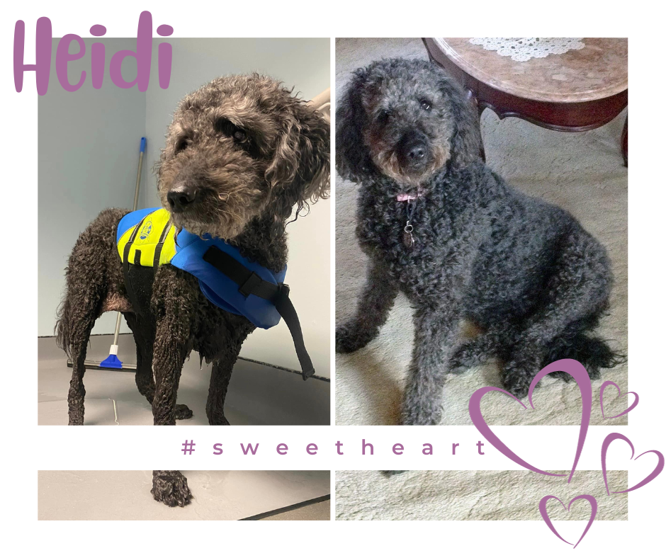 Heidi.png