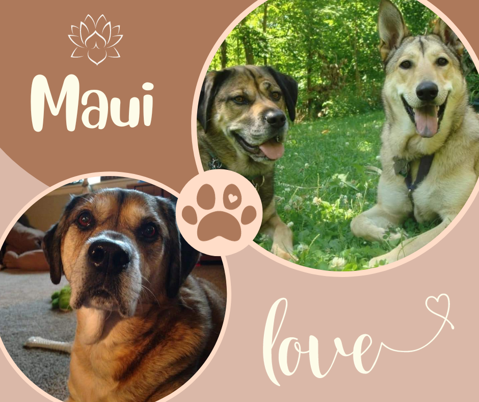 Maui.png