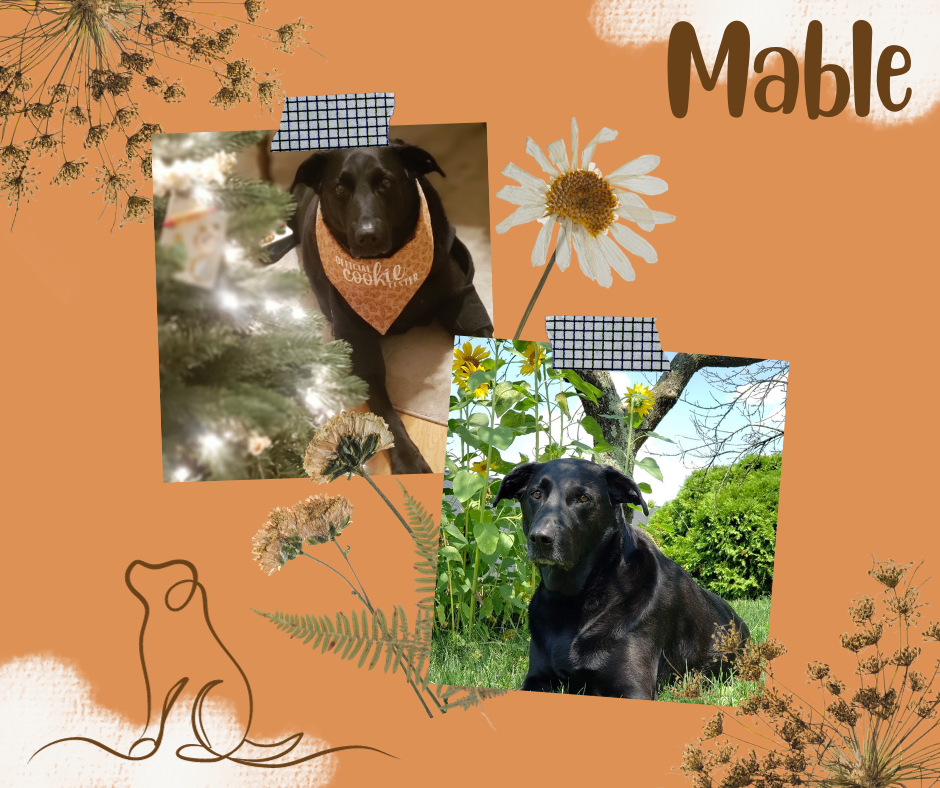 Mable.png
