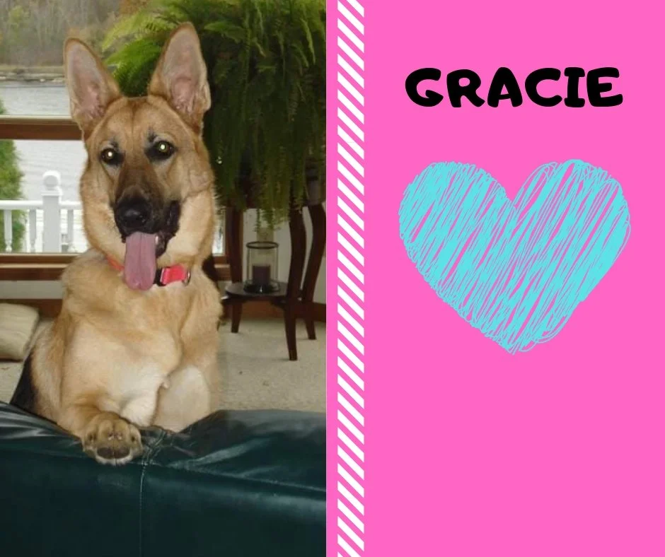 gracie (2).jpg