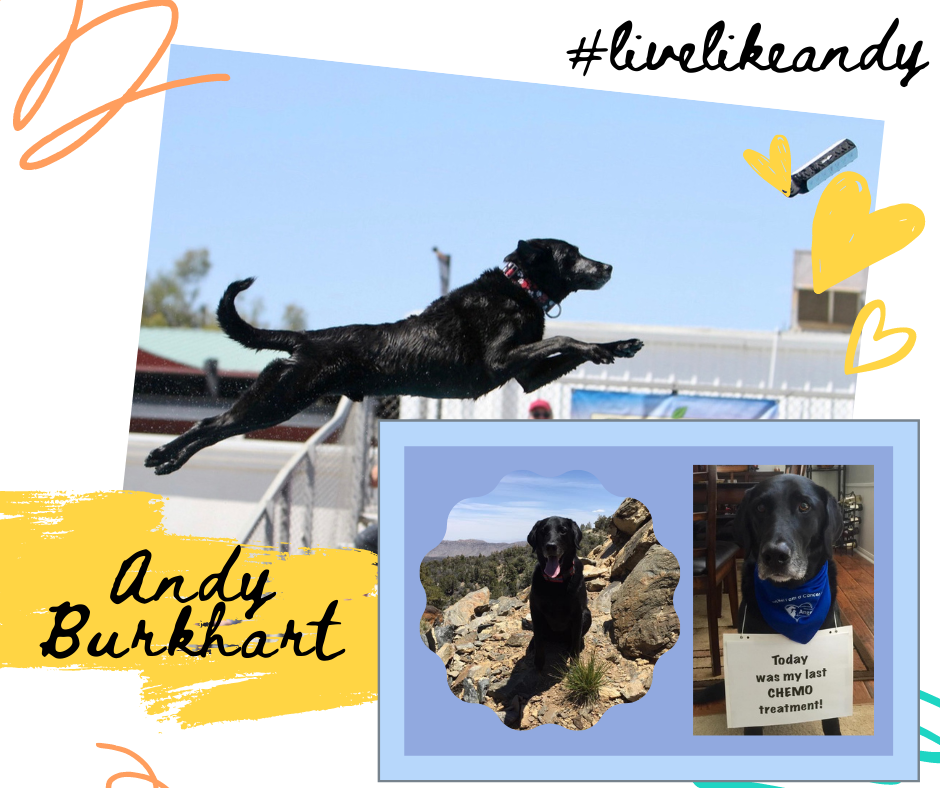 Andy Burkhart.png