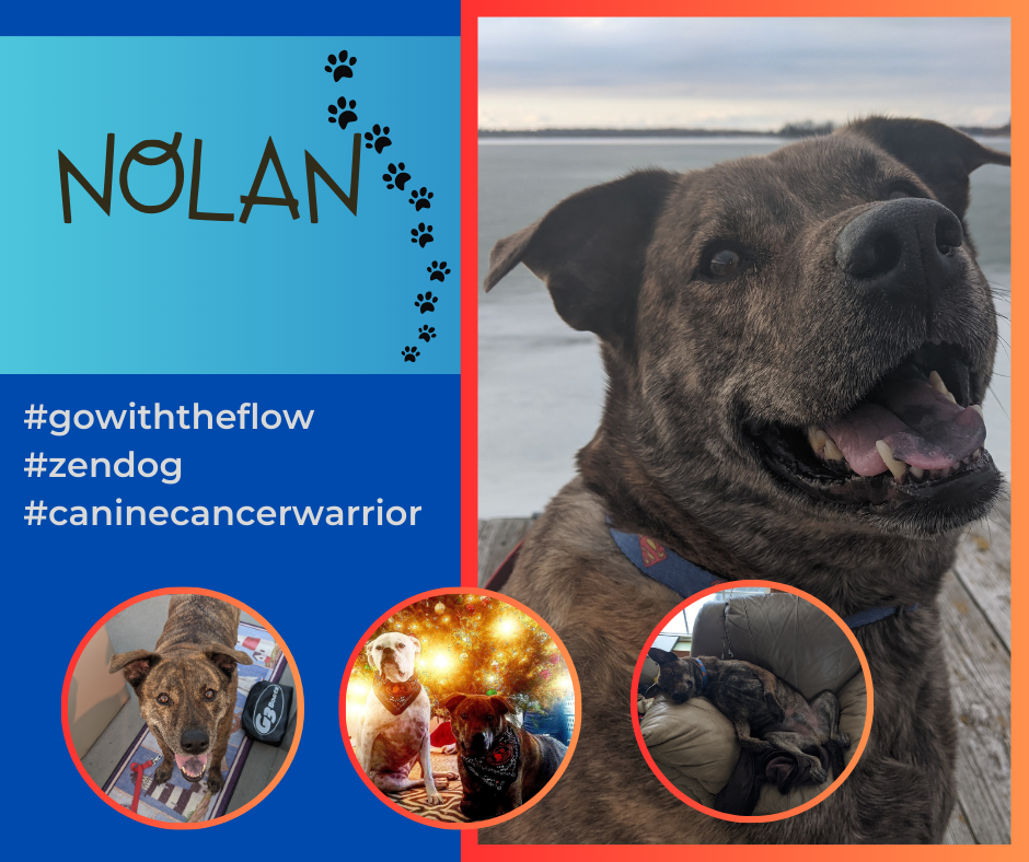 Canine Soft Tissue — Paws4Potter