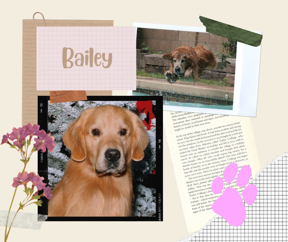 Bailey.png