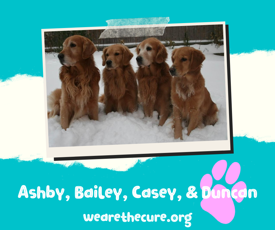 Ashby, Bailey, Casey, & Duncan.png