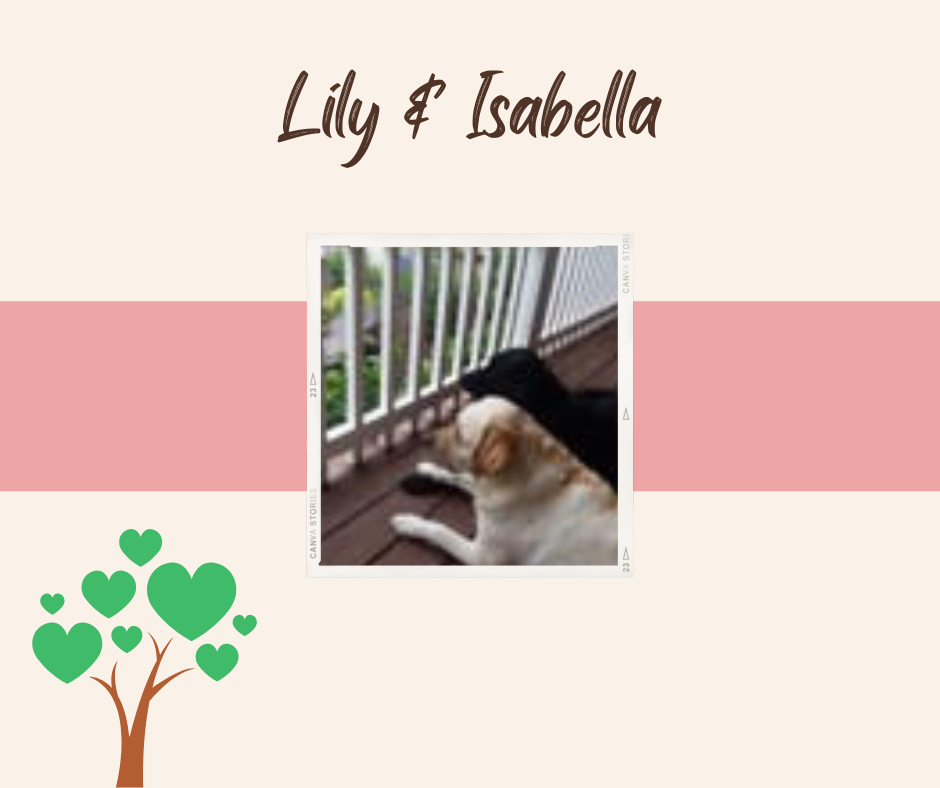 Lily and Isabella.png