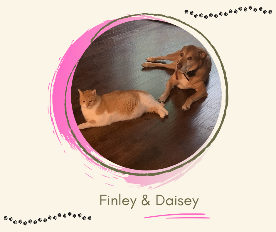 Finley & Daisy.png