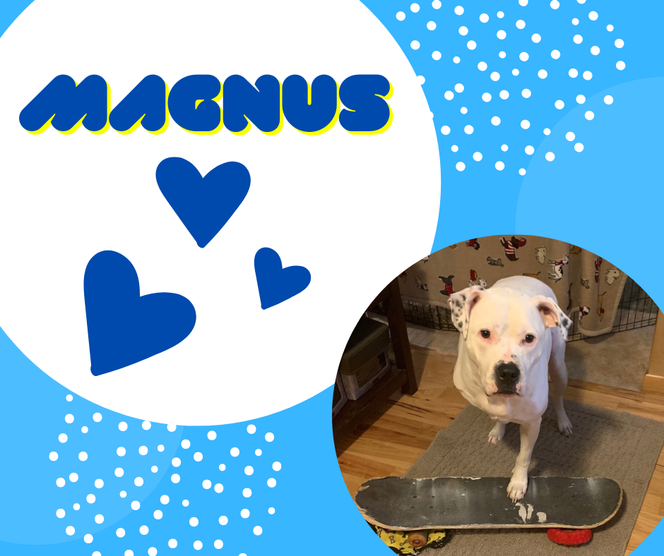 magnus.png