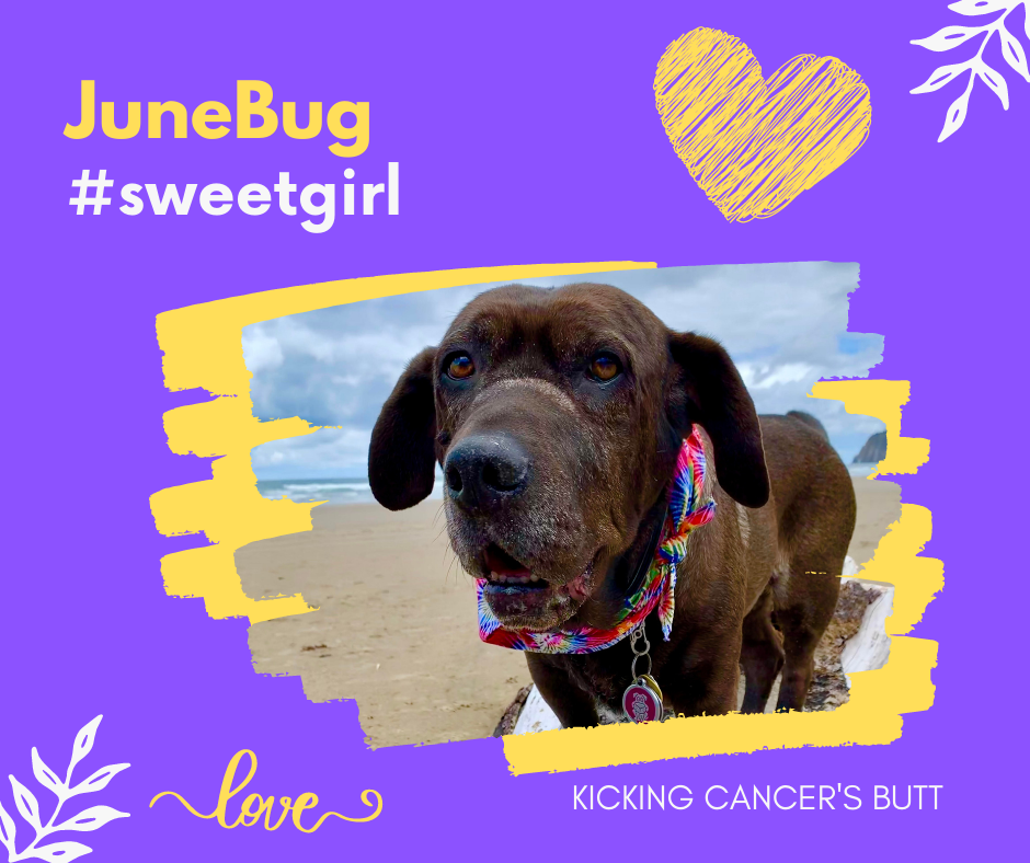 Green Hydroponic Lifestyle Facebook Post.png