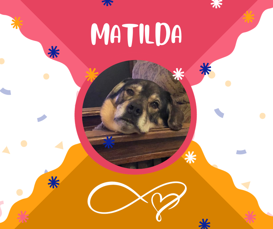 Matilda (2).png