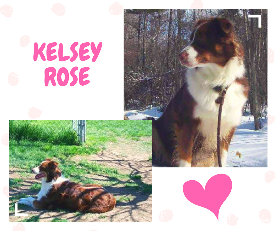 Kelsey Rose Lecture.png