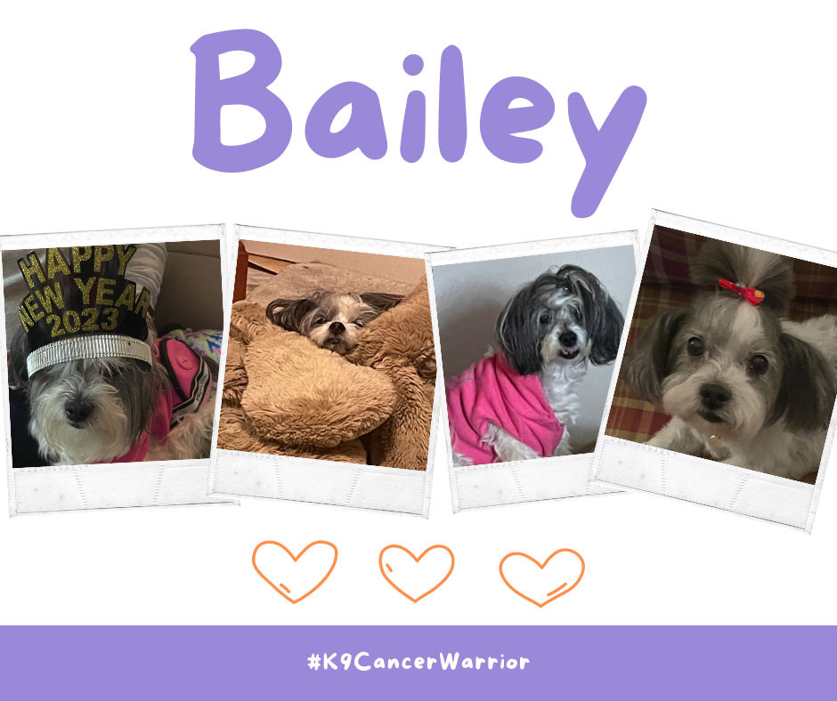 Bailey (5).png